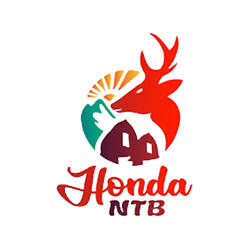 Honda NTB Logo